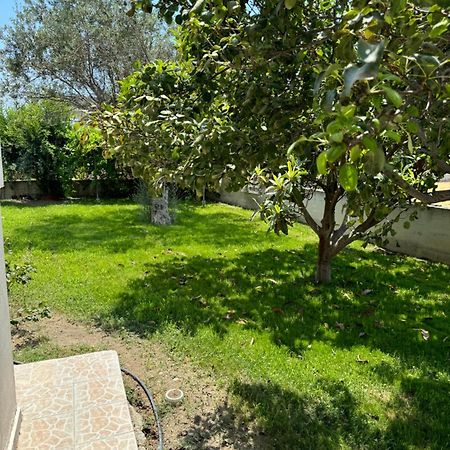 דירות אפאנטו Fotis House מראה חיצוני תמונה