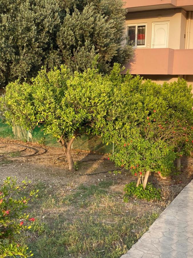 דירות אפאנטו Fotis House מראה חיצוני תמונה